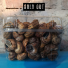 Helix Aspersa Maxima 1kg