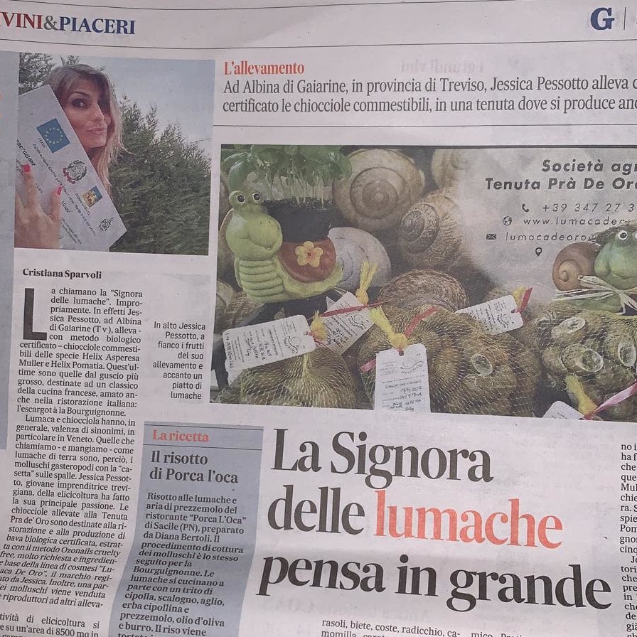 Gazzettino di Treviso parla di noi – La signora delle lumache pensa in grande