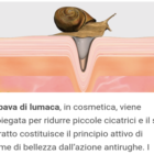 bava di lumaca in cosmetica