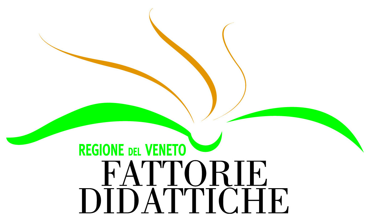 Siamo una fattoria didattica riconosciuta della Regione Veneto!
