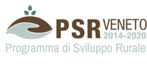 logo psr veneto