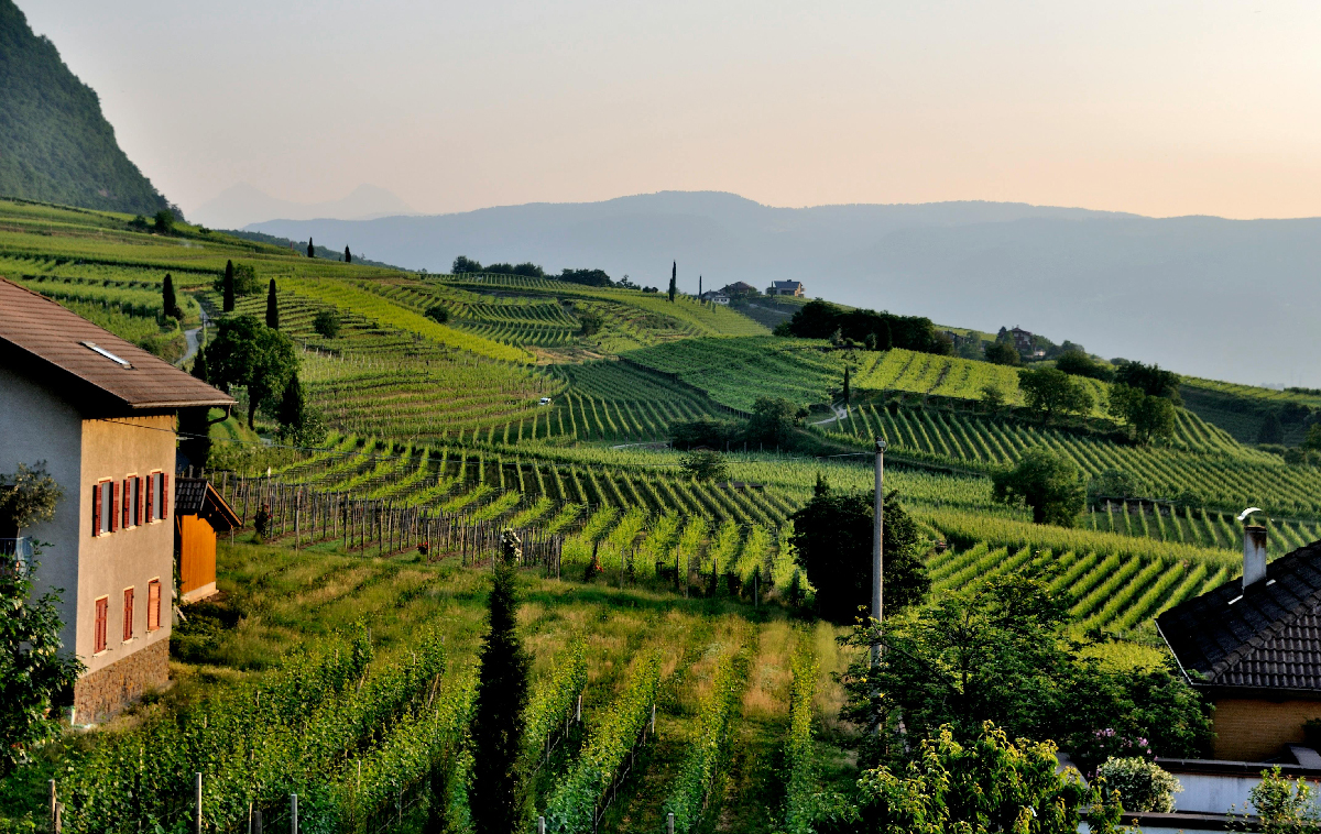 Le Zone di Produzione del Prosecco