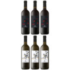 Cabernet Sauvignon e Chardonnay 6 bottiglie